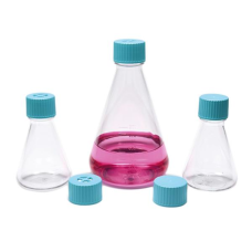 ISOLAB Erlen Petg Filtreli Kapaklı Hücre Kültürü İçin  Steril  250 ml / 8 Adet