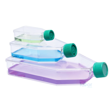 ISOLAB ŞİŞE Steril Hücre Kültürü İçin 175 cm2. düz kapak 1 koli